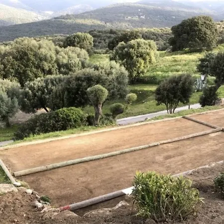 Appartement New Superbe F2 refait à neuf tout confort avec piscine et mer à pied Serra-di-Ferro (Corsica)