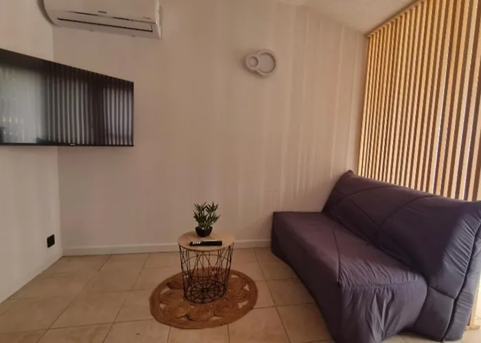 Appartement New Superbe F2 refait à neuf tout confort avec piscine et mer à pied