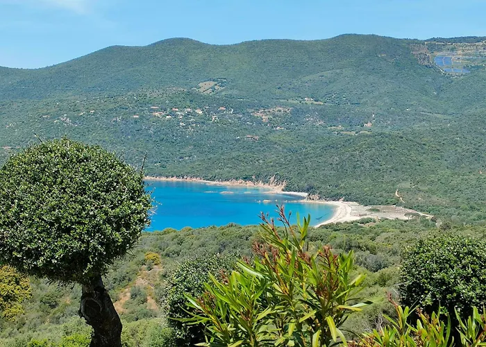 Appartement New Superbe F2 refait à neuf tout confort avec piscine et mer à pied *