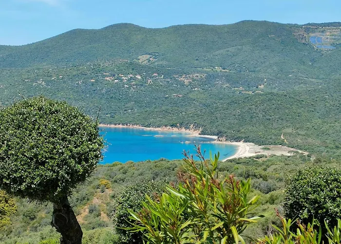 New Superbe F2 Refait A Neuf Confort Avec Piscine Et A Pied Serra-di-Ferro (Corsica)