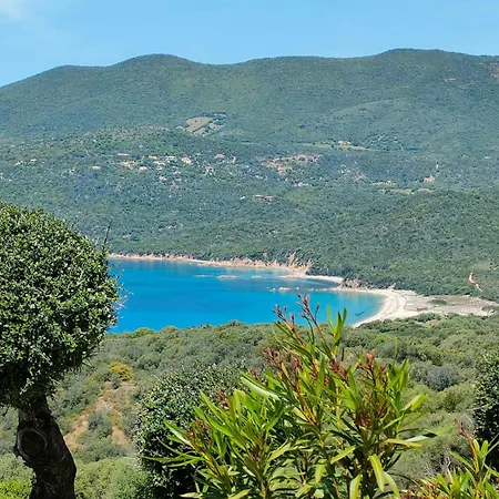 New Superbe F2 Refait A Neuf Confort Dans Avec Piscine Serra-di-Ferro (Corsica)