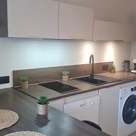 New Superbe F2 Refait A Neuf Confort Dans Avec Piscine Apartment Serra-di-Ferro (Corsica)