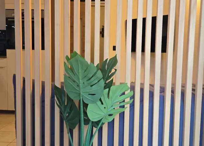 New Superbe F2 refait à neuf tout confort dans résidence avec piscine Apartamento Serra-di-Ferro (Corsica)