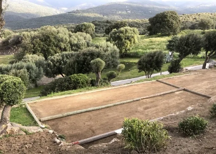 Apartment New Superbe F2 Refait A Neuf Tout Confort Avec Piscine Et Mer A Pied Serra-di-Ferro (Corsica)